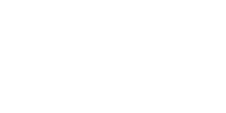 Rally