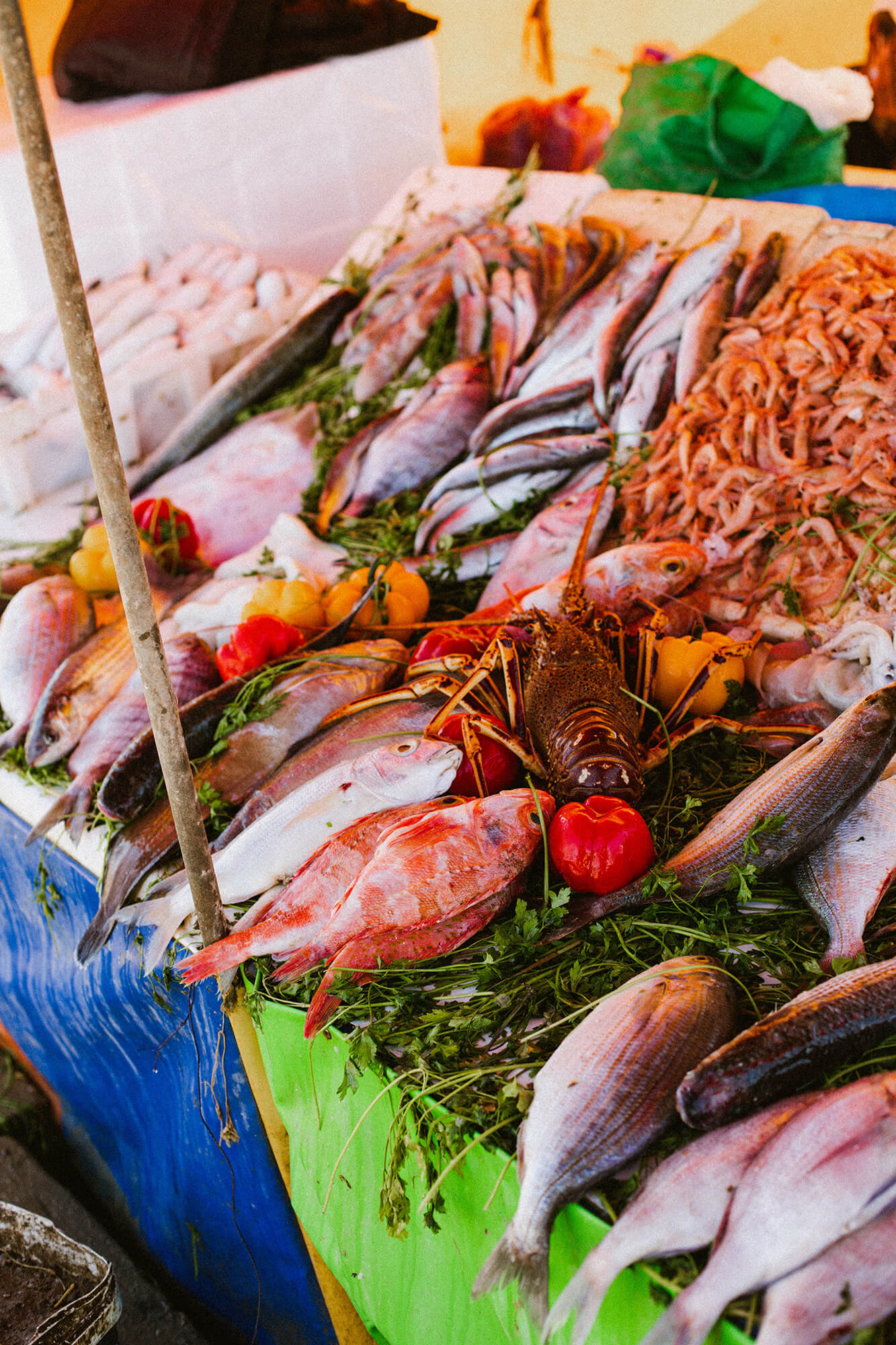 chile fish market