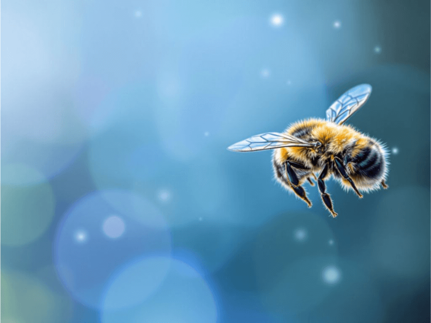 Picture of a bee that represents the Customer Journey is now Flight of a Bumble Bee