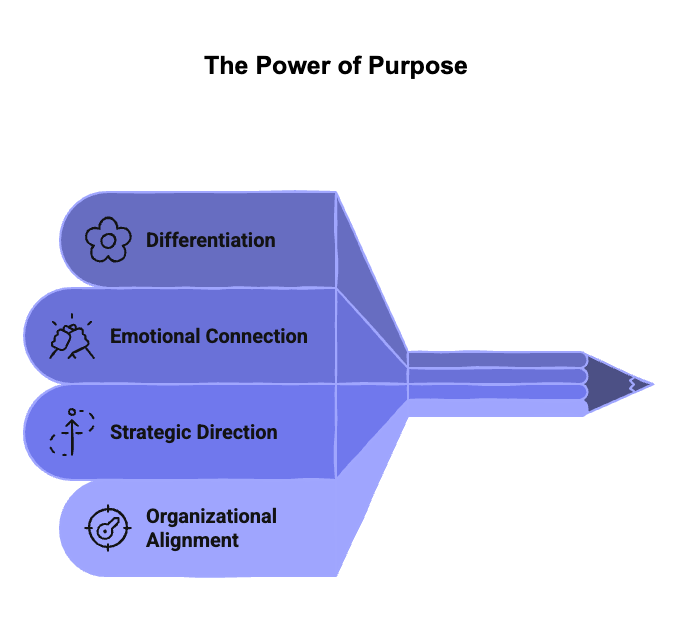 The power of purpose - infographic | Vivaldi Group